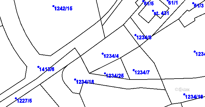 Parcela st. 1234/4 v KÚ Děpoltovice, Katastrální mapa