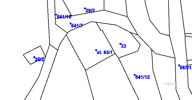 Parcela st. 65/1 v KÚ Nivy, Katastrální mapa