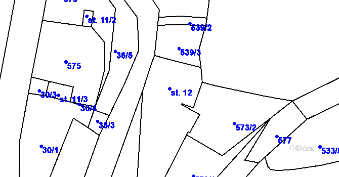 Parcela st. 12 v KÚ Nivy, Katastrální mapa