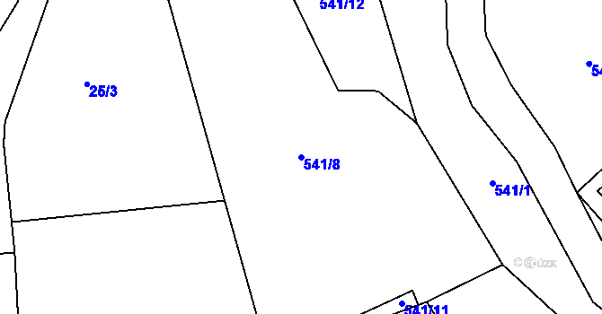 Parcela st. 541/8 v KÚ Nivy, Katastrální mapa