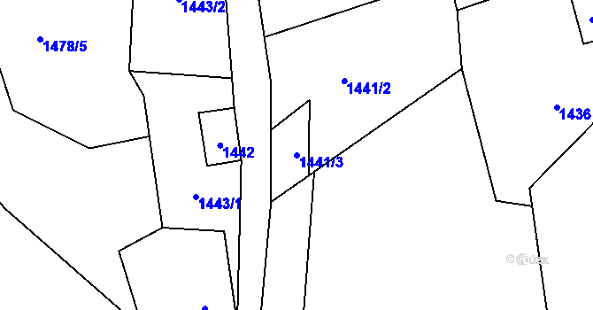 Parcela st. 1441/3 v KÚ Desná I, Katastrální mapa