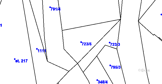 Parcela st. 723/5 v KÚ Jedlová v Orlických horách, Katastrální mapa