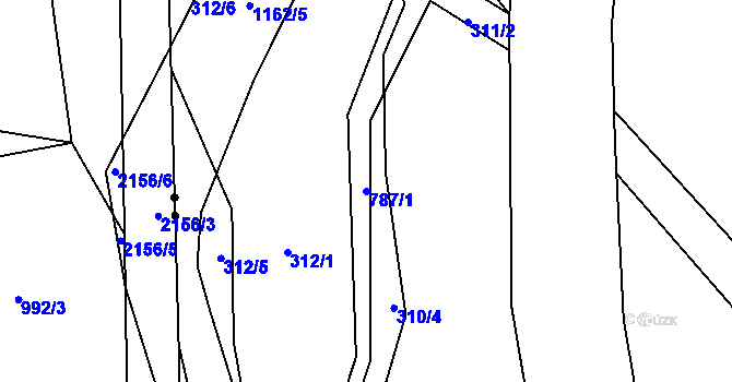 Parcela st. 787/1 v KÚ Jedlová v Orlických horách, Katastrální mapa