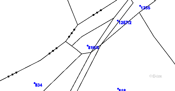 Parcela st. 816/5 v KÚ Jedlová v Orlických horách, Katastrální mapa