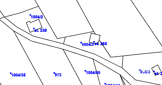 Parcela st. 1004/3 v KÚ Deštné, Katastrální mapa