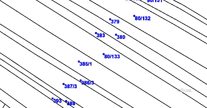 Parcela st. 80/133 v KÚ Dětkovice, Katastrální mapa