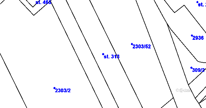 Parcela st. 313 v KÚ Dětřichov u Svitav, Katastrální mapa