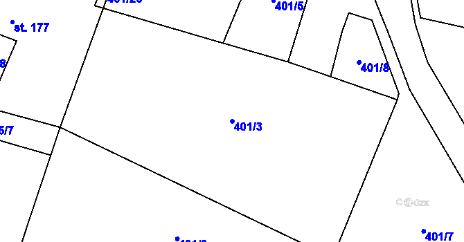 Parcela st. 401/3 v KÚ Dětřichov nad Bystřicí, Katastrální mapa