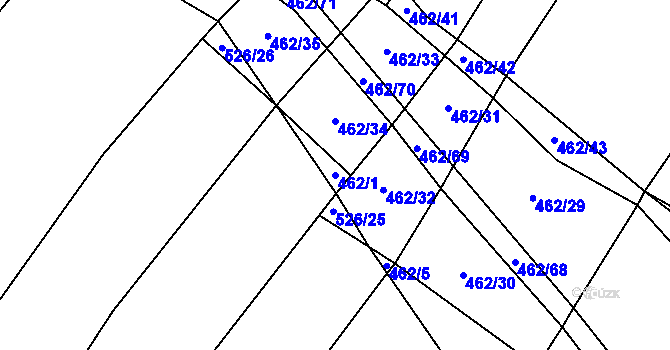 Parcela st. 462/1 v KÚ Dírná, Katastrální mapa