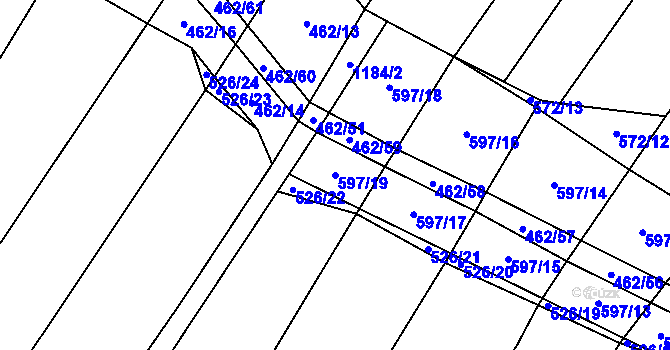 Parcela st. 597/19 v KÚ Dírná, Katastrální mapa