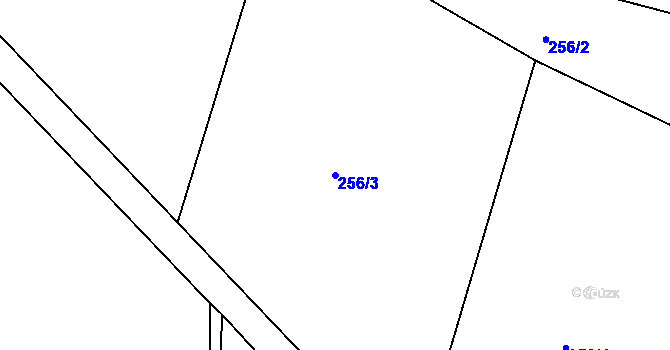 Parcela st. 256/3 v KÚ Nová Ves u Dírné, Katastrální mapa