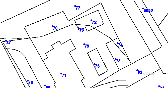 Parcela st. 79 v KÚ Diváky, Katastrální mapa