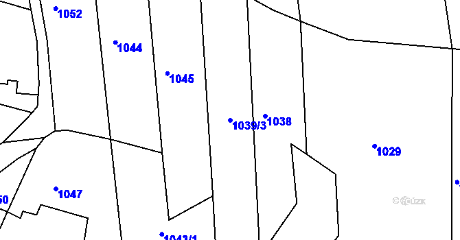 Parcela st. 1039/3 v KÚ Diváky, Katastrální mapa