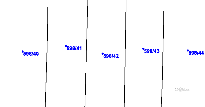 Parcela st. 598/42 v KÚ Dívčice, Katastrální mapa