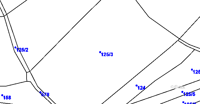 Parcela st. 125/3 v KÚ Miletice u Dlažova, Katastrální mapa