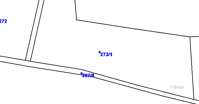 Parcela st. 273/1 v KÚ Miletice u Dlažova, Katastrální mapa