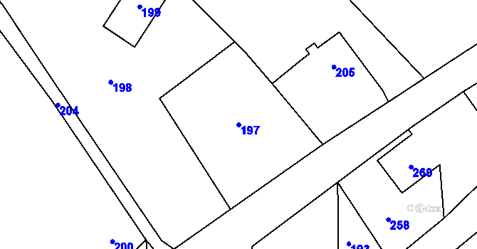 Parcela st. 197 v KÚ Plinkout, Katastrální mapa