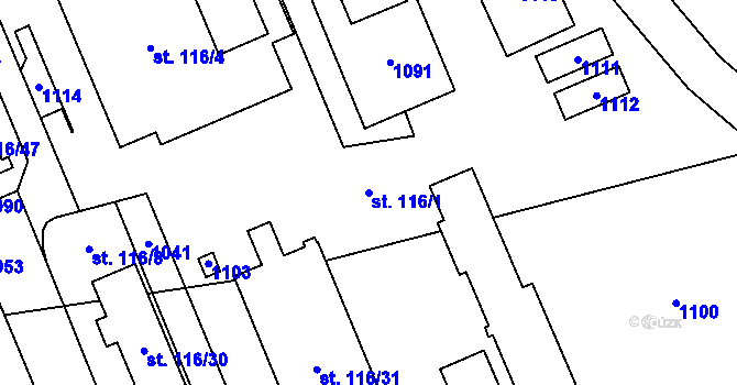 Parcela st. 116/1 v KÚ Dlouhá Ves u Rychnova nad Kněžnou, Katastrální mapa