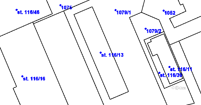 Parcela st. 116/13 v KÚ Dlouhá Ves u Rychnova nad Kněžnou, Katastrální mapa