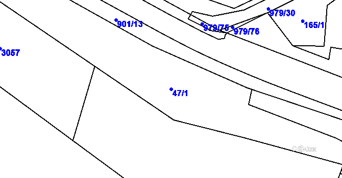 Parcela st. 47/1 v KÚ Dlouhá Ves u Rychnova nad Kněžnou, Katastrální mapa