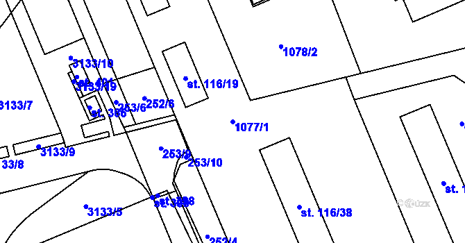 Parcela st. 1077/1 v KÚ Dlouhá Ves u Rychnova nad Kněžnou, Katastrální mapa
