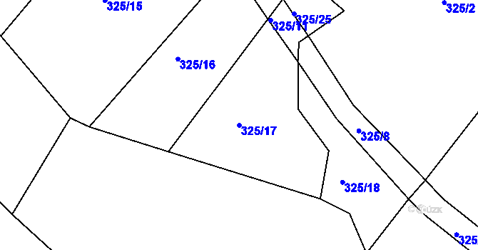 Parcela st. 325/17 v KÚ Dolní Dlužiny, Katastrální mapa