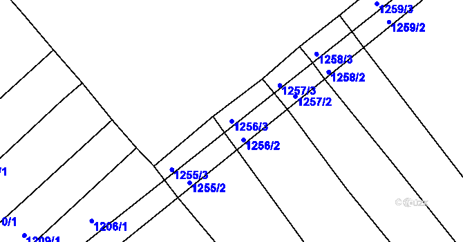 Parcela st. 1256/3 v KÚ Oplot, Katastrální mapa