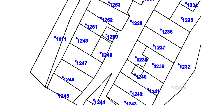 Parcela st. 1248 v KÚ Dobré Pole, Katastrální mapa