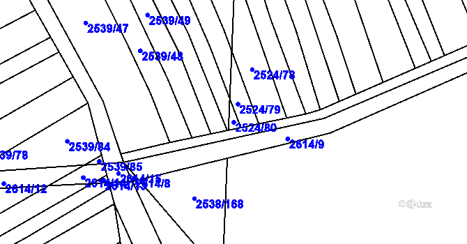 Parcela st. 2524/80 v KÚ Dobročkovice, Katastrální mapa