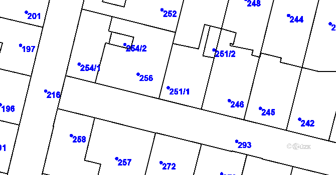 Parcela st. 251/1 v KÚ Dobrovice, Katastrální mapa