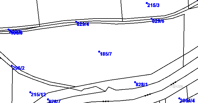 Parcela st. 185/7 v KÚ Vodní Újezd, Katastrální mapa