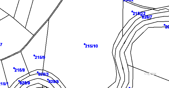 Parcela st. 215/10 v KÚ Vodní Újezd, Katastrální mapa