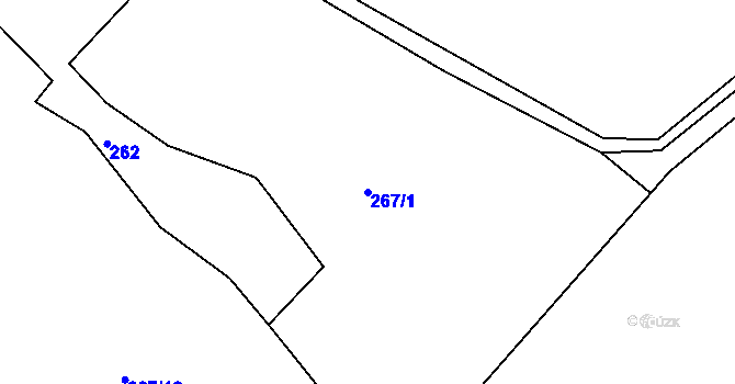 Parcela st. 267/1 v KÚ Dobřany v Orlických horách, Katastrální mapa