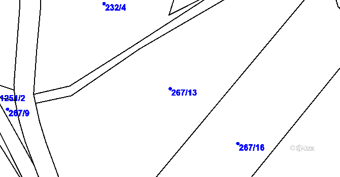 Parcela st. 267/13 v KÚ Dobřany v Orlických horách, Katastrální mapa