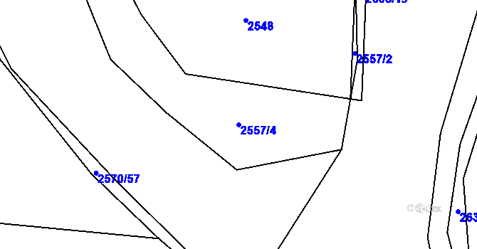 Parcela st. 2557/4 v KÚ Předčice, Katastrální mapa