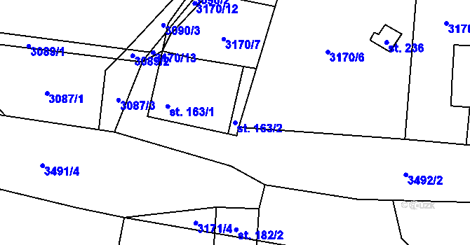 Parcela st. 163/2 v KÚ Třitim, Katastrální mapa
