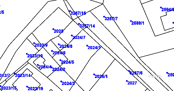 Parcela st. 2024/1 v KÚ Doksy u Máchova jezera, Katastrální mapa