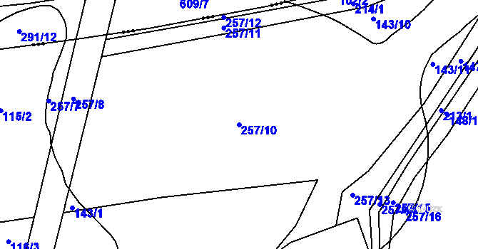 Parcela st. 257/10 v KÚ Debrno, Katastrální mapa