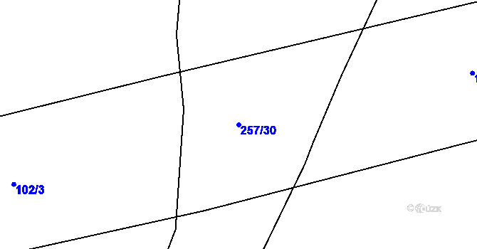 Parcela st. 257/30 v KÚ Debrno, Katastrální mapa