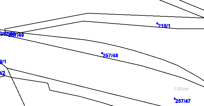 Parcela st. 257/48 v KÚ Debrno, Katastrální mapa