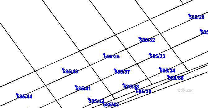 Parcela st. 585/36 v KÚ Malechov, Katastrální mapa
