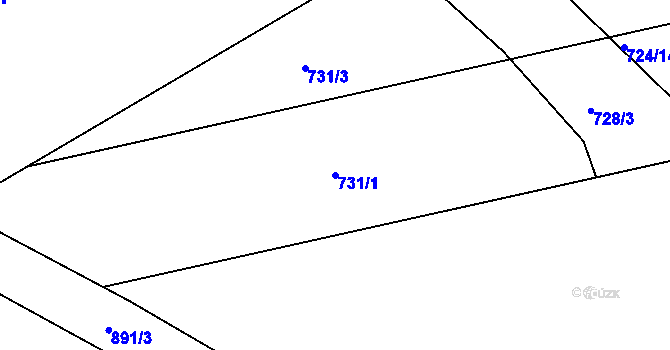 Parcela st. 731/1 v KÚ Svrčovec, Katastrální mapa
