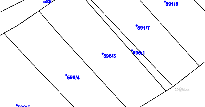 Parcela st. 596/3 v KÚ Dolany u Plzně, Katastrální mapa