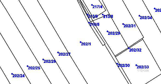 Parcela st. 202/1 v KÚ Čáslavky, Katastrální mapa