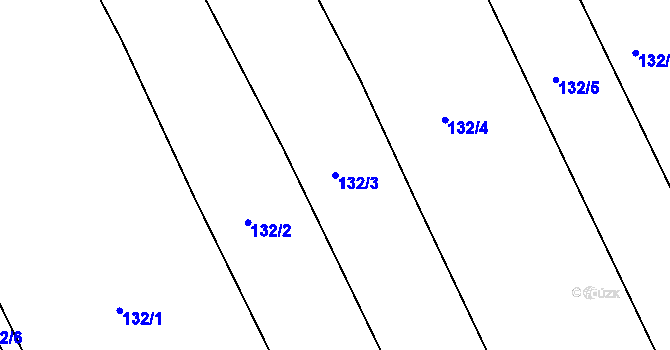Parcela st. 132/3 v KÚ Čáslavky, Katastrální mapa