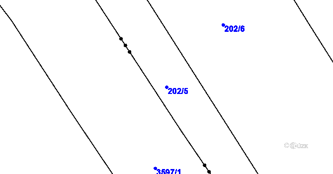 Parcela st. 202/5 v KÚ Čáslavky, Katastrální mapa