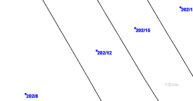 Parcela st. 202/12 v KÚ Čáslavky, Katastrální mapa