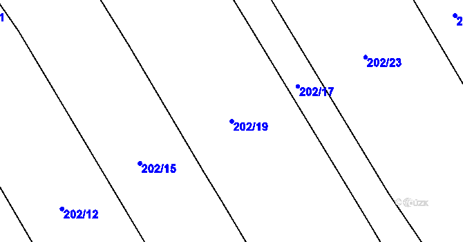 Parcela st. 202/19 v KÚ Čáslavky, Katastrální mapa