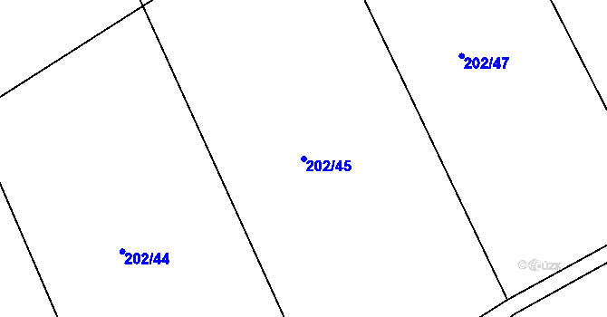 Parcela st. 202/45 v KÚ Čáslavky, Katastrální mapa