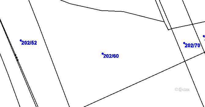 Parcela st. 202/60 v KÚ Čáslavky, Katastrální mapa